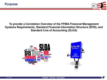 FFMIA Systems Requirements Integrity - Service - Innovation