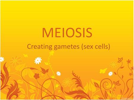 MEIOSIS Creating gametes (sex cells).