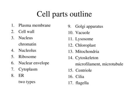 Cell parts outline Plasma membrane Golgi apparatus Cell wall Vacuole