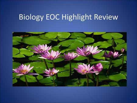 Biology EOC Highlight Review