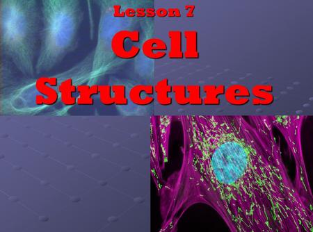 Lesson 7 Cell Structures