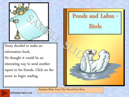 SAMPLE SLIDE Ponds and Lakes - Birds