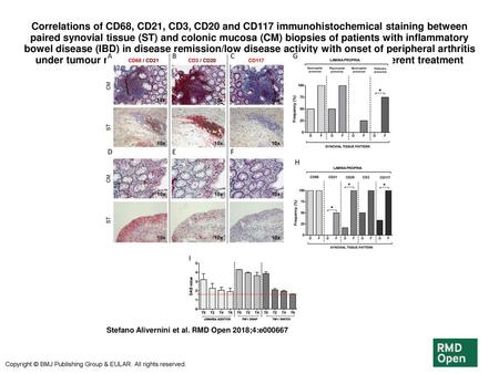 Correlations of CD68, CD21, CD3, CD20 and CD117 immunohistochemical staining between paired synovial tissue (ST) and colonic mucosa (CM) biopsies of patients.