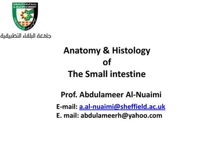 Anatomy & Histology of The Small intestine