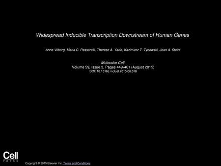 Widespread Inducible Transcription Downstream of Human Genes