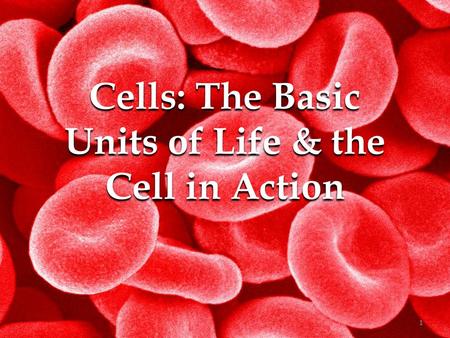 Cells: The Basic Units of Life & the Cell in Action