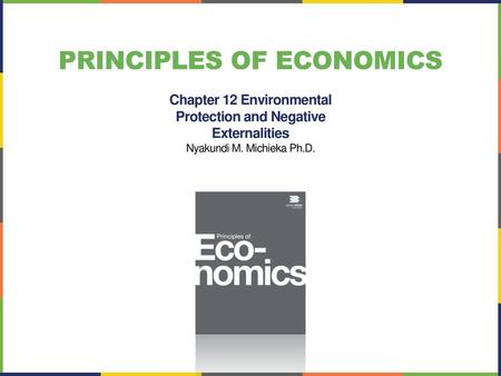 Chapter 12 Environmental Protection and Negative