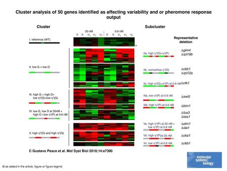 Cluster analysis of 50 genes identified as affecting variability and or pheromone response output Cluster analysis of 50 genes identified as affecting.