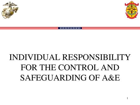 INDIVIDUAL RESPONSIBILITY FOR THE CONTROL AND SAFEGUARDING OF A&E
