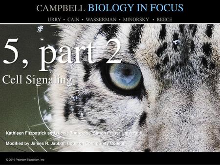 5, part 2 Cell Signaling CAMPBELL BIOLOGY IN FOCUS