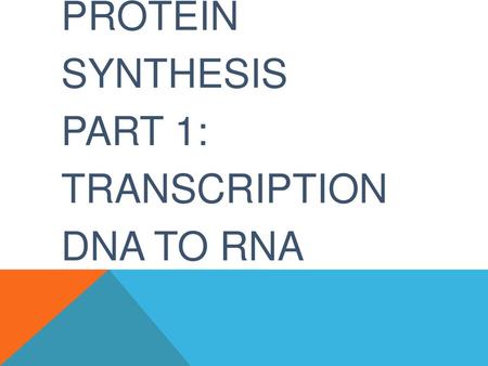 Protein Synthesis Part 1: Transcription DNA to RNA