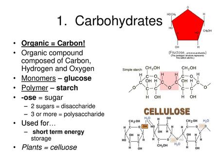 1. Carbohydrates Organic = Carbon!