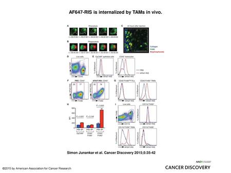 AF647-RIS is internalized by TAMs in vivo.