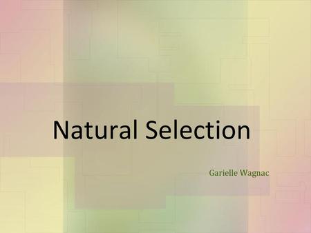Natural Selection Garielle Wagnac.