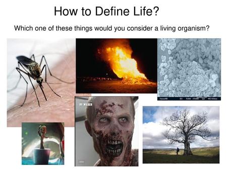 How to Define Life? Which one of these things would you consider a living organism? Why do people have “wakes” when a person dies before they bury the.