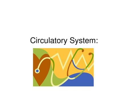 Circulatory System:.