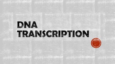 DNA Transcription.