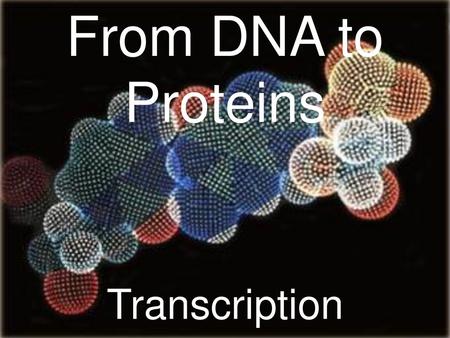 From DNA to Proteins Transcription.