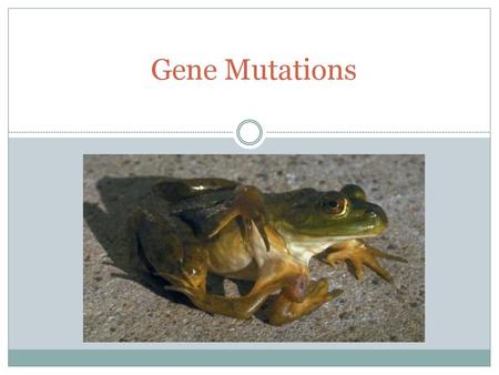 Gene Mutations.