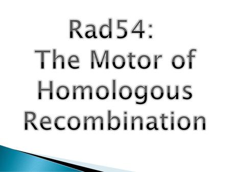 Rad54: The Motor of Homologous Recombination.