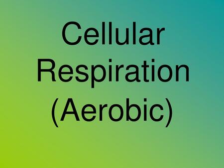 Cellular Respiration (Aerobic).