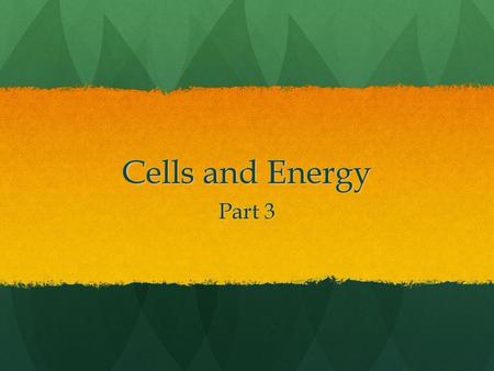 Cells and Energy Part 3.