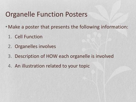 Organelle Function Posters