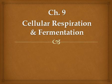 Ch. 9 Cellular Respiration & Fermentation