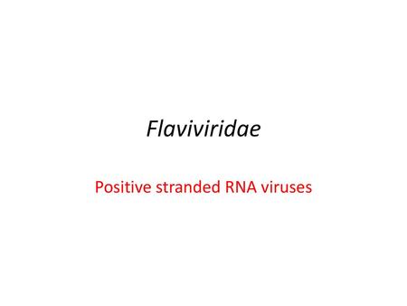 Positive stranded RNA viruses