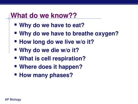 What do we know?? Why do we have to eat?