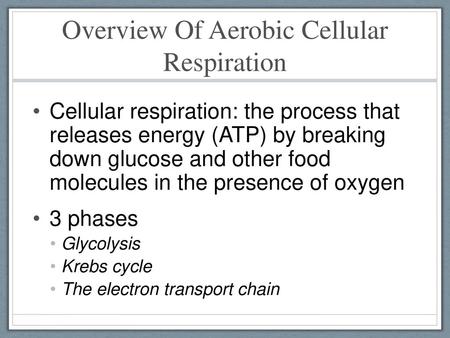Overview Of Aerobic Cellular Respiration