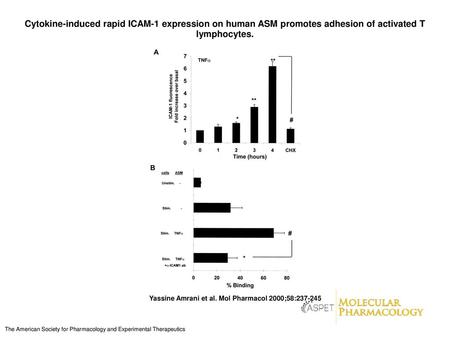 Cytokine-induced rapid ICAM-1 expression on human ASM promotes adhesion of activated T lymphocytes. Cytokine-induced rapid ICAM-1 expression on human ASM.
