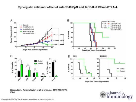 Synergistic antitumor effect of anti-CD40/CpG and 14