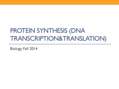 Protein synthesis (dna transcription&translation)