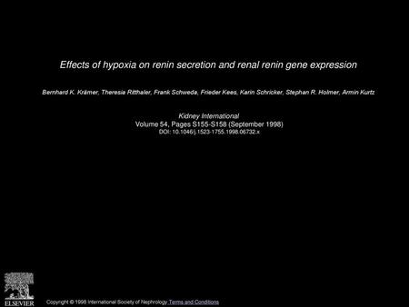 Effects of hypoxia on renin secretion and renal renin gene expression