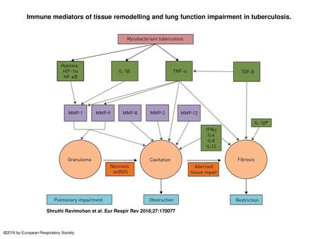 Immune mediators of tissue remodelling and lung function impairment in tuberculosis. Immune mediators of tissue remodelling and lung function impairment.