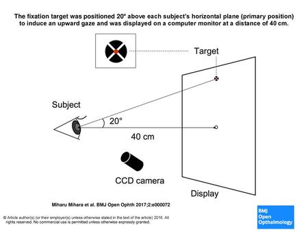 The fixation target was positioned 20° above each subject’s horizontal plane (primary position) to induce an upward gaze and was displayed on a computer.