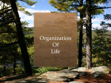 Organization Of Life Picture background with textured caption