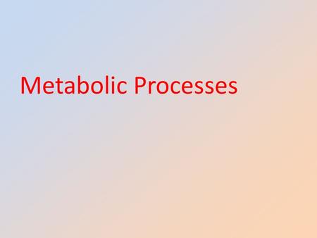 Metabolic Processes.