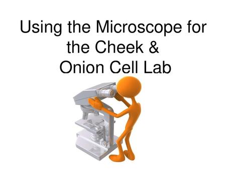 Using the Microscope for the Cheek &
