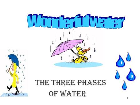 The Three Phases Of Water