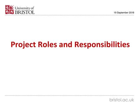 Project Roles and Responsibilities