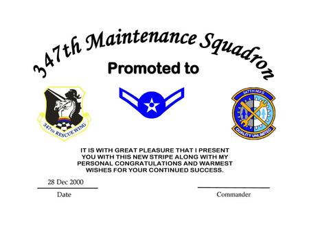 347th Maintenance Squadron