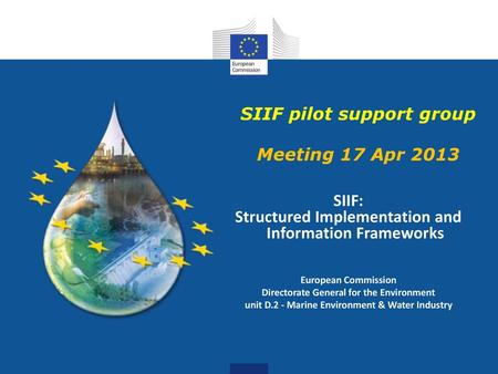 SIIF pilot support group Meeting 17 Apr 2013