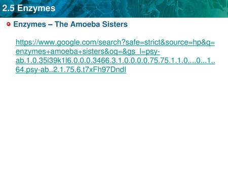 Enzymes – The Amoeba Sisters