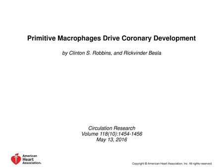 Primitive Macrophages Drive Coronary Development