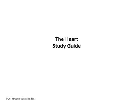 The Heart Study Guide.