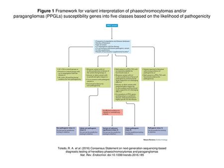Figure 1 Framework for variant interpretation of phaeochromocytomas and/or paragangliomas (PPGLs) susceptibility genes into five classes based on the likelihood.