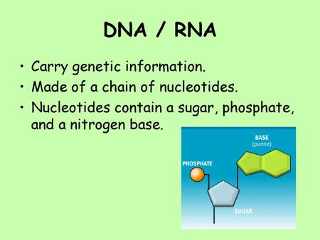 DNA / RNA Carry genetic information. Made of a chain of nucleotides.