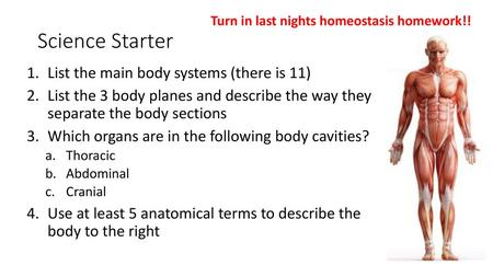 Science Starter List the main body systems (there is 11)